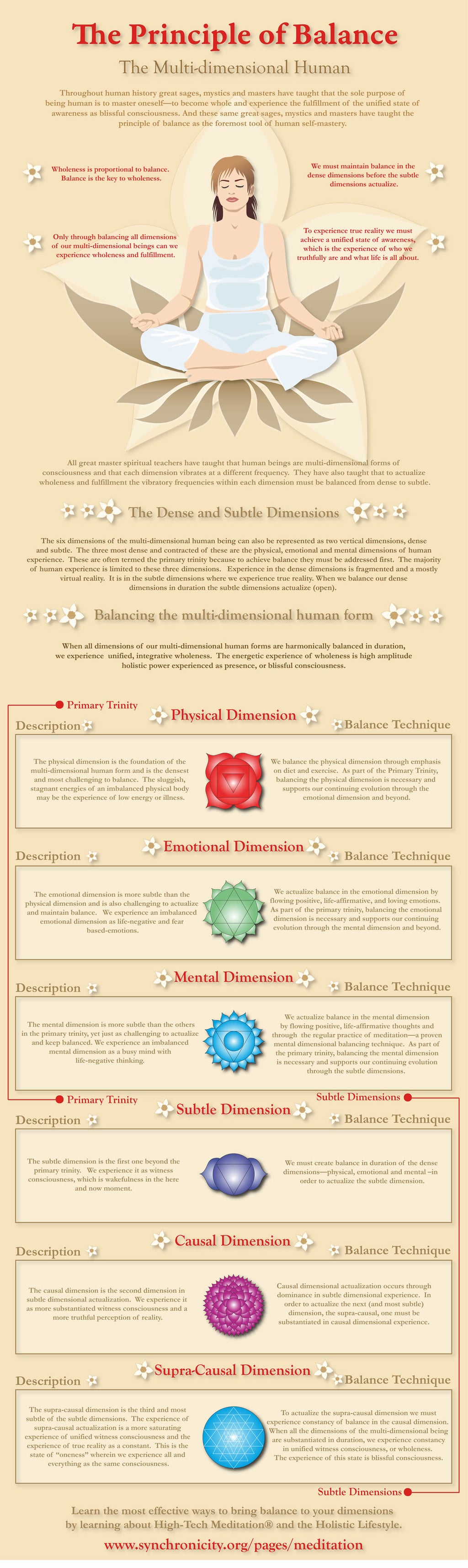 The Principle of Balance - Infographic