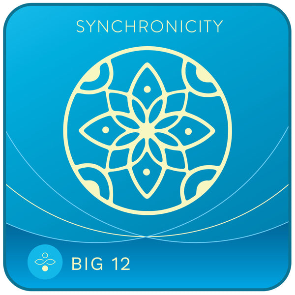 Big 12 - Synch PH Digital Download