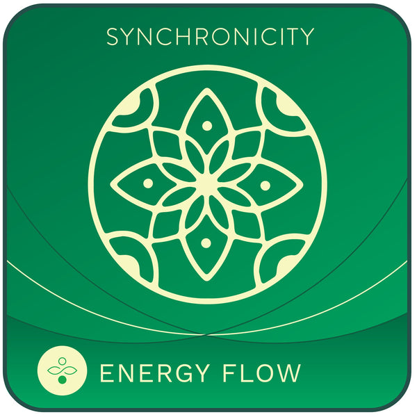 Energy Flow Meditation - Synch PH Digital Download