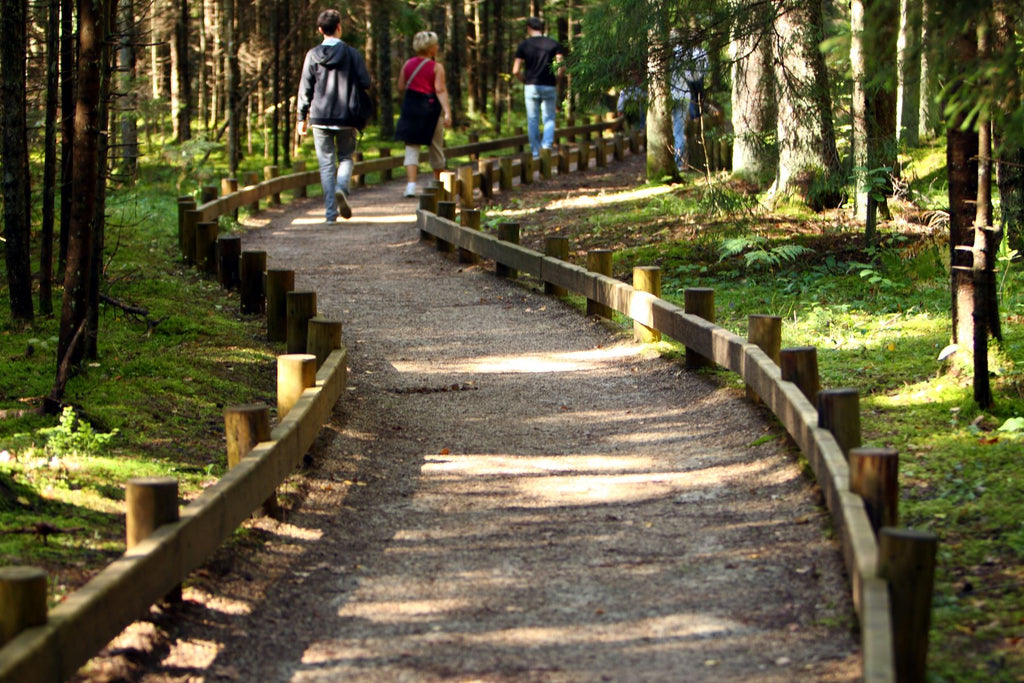 gravel pathway through the woods people walking ahead