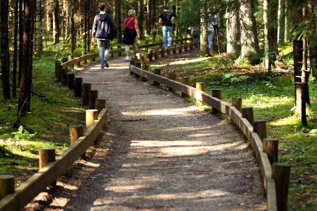 Your Path to a Holistic Lifestyle: The 5-Fold Process – Synchronicity ...