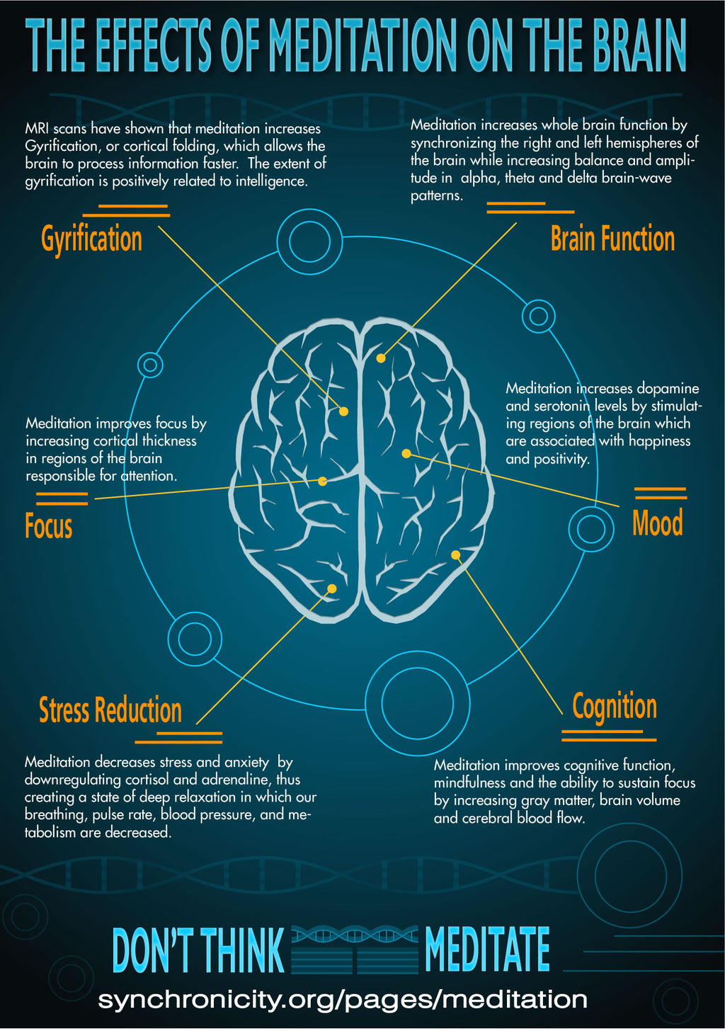 Free Infographic: Effects of Meditation on the Brain