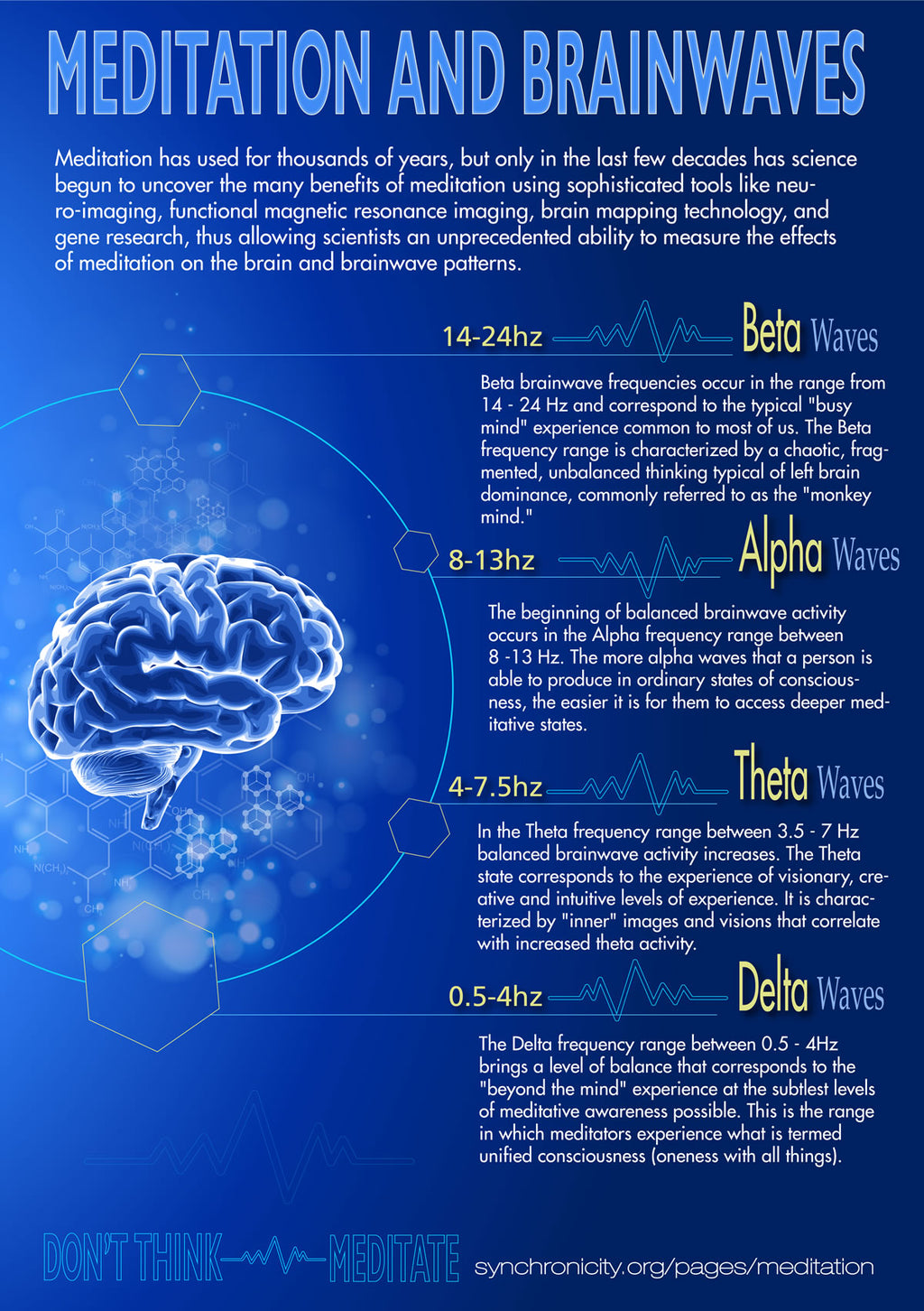 Free Infographic: Meditation and its Effects on Brainwaves