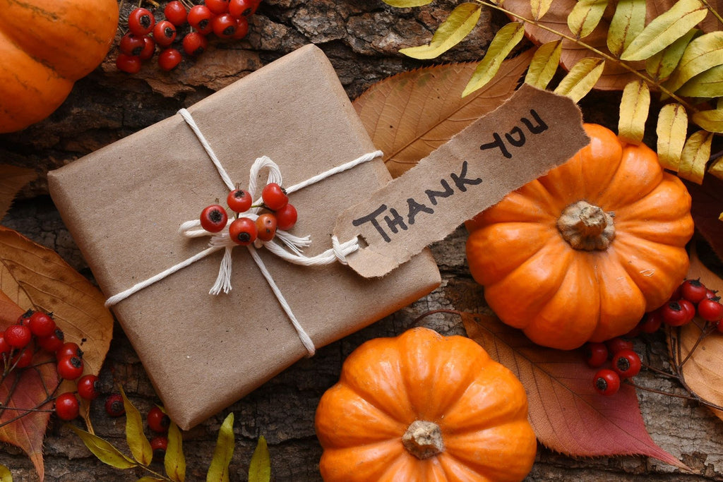 Fall themed photo of thank you gift with pumpkins