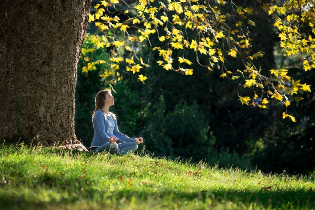Reclaim Your Inner Wisdom: The Healing Power of Silence