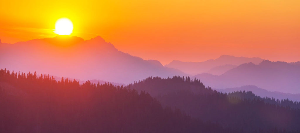 Enjoy Balance & Presence: Embrace the Divine Feminine
