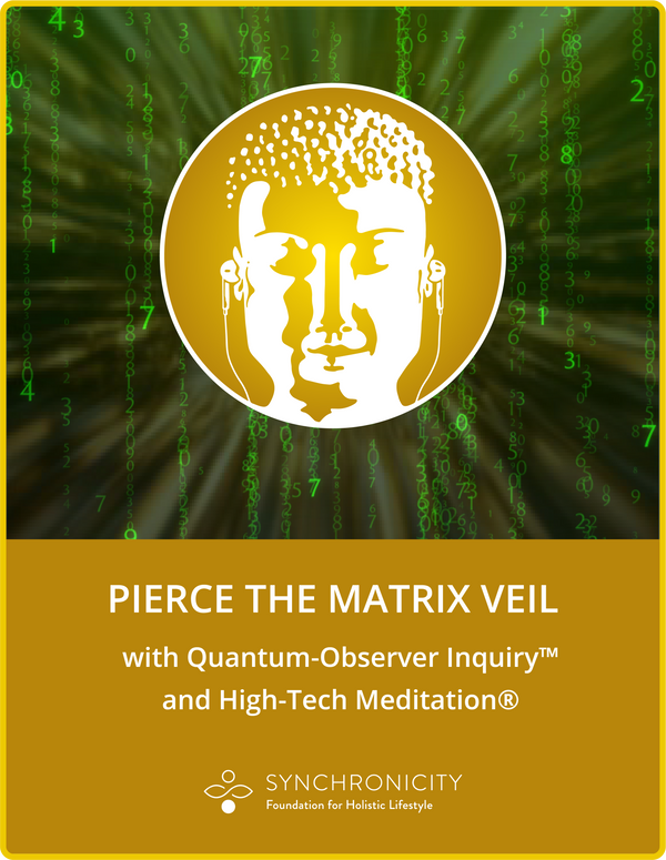 Pierce The Matrix Veil with Meditation & Inquiry E-book