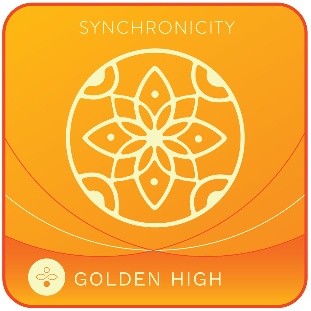 Golden High - Synch PH Digital Download